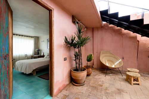 boutique hotels in Oaxaca City